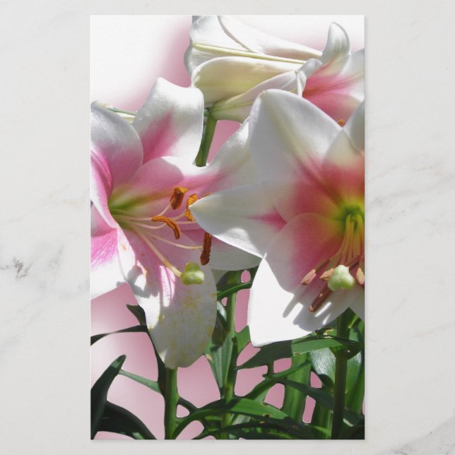 Papelería Flores flores flores flores primavera Jardín amor  (Anverso)