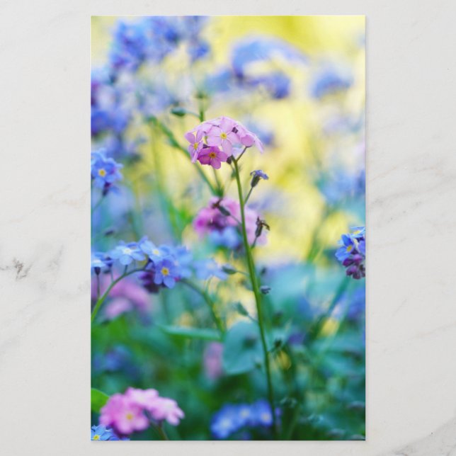 Papelería Flores nomeolvides (Anverso)