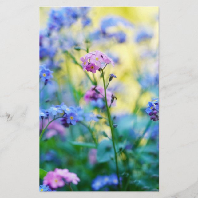 Papelería Flores nomeolvides (Anverso)