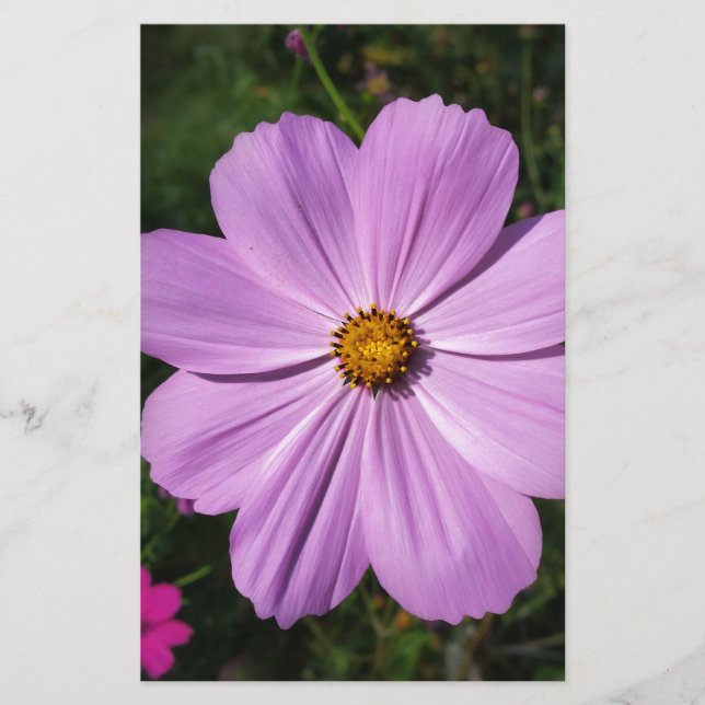 Papelería flores rosas brillantes (Anverso)