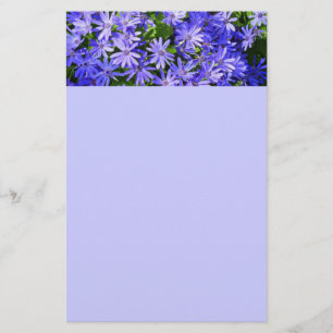 Papelería Flores tipo margarita azul fotografía de la natura