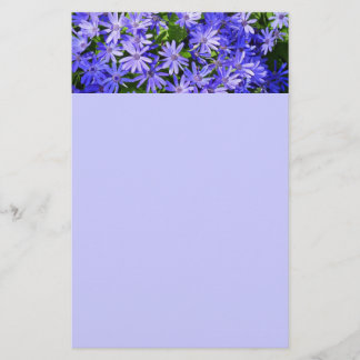 Papelería Flores tipo margarita azul fotografía de la natura