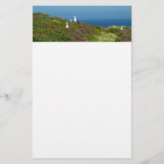 Papelería Flores y gaviotas en la isla Anacapa