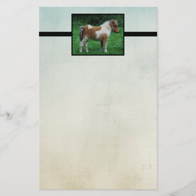 Papelería Fluffy Adorable Dartmoor Pony (Anverso)