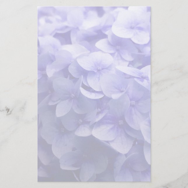 Papelería Fondo floral Hydrangea blanco (Anverso)