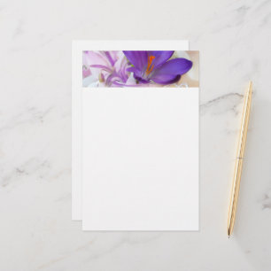 Papelería Foto de un crocus de Primavera Púrpura de Bonito