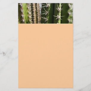 Papelería Foto natural del desierto de Cactus II de Barrel