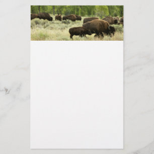 Papelería Fotografía de animales de la naturaleza de Wyoming