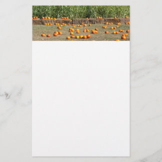 Papelería Fotografía de cosecha otoñal de calabazas, maíz y