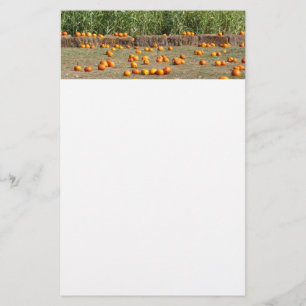 Papelería Fotografía de cosecha otoñal de calabazas, maíz y