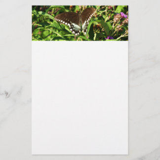 Papelería Fotografía de la naturaleza de la mariposa de cola