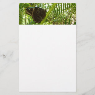 Papelería Fotografía de la naturaleza de la mariposa morfa a
