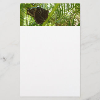 Papelería Fotografía de la naturaleza de la mariposa morfa a