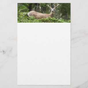 Papelería Fotografía de la naturaleza del ciervo yosemita