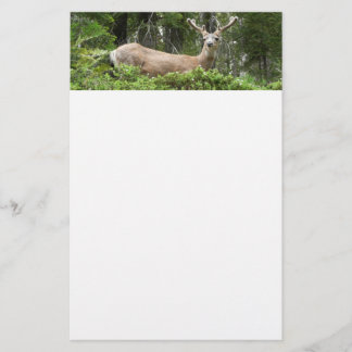 Papelería Fotografía de la naturaleza del ciervo yosemita