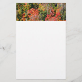 Papelería Fotografía de la naturaleza otoñal colorida de la