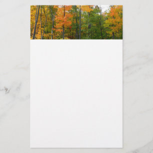 Papelería Fotografía de la naturaleza otoñal en árboles de a