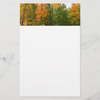 Papelería Fotografía de la naturaleza otoñal en árboles de a