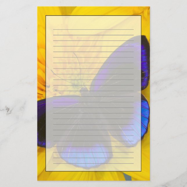Papelería Fotografía de Mariposa (Anverso)