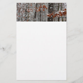 Papelería Fotografía de naturaleza invernal de robles cubier