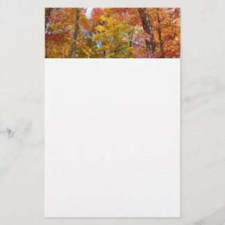 Papelería Fotografía de otoño de árboles caídos naranjas y a