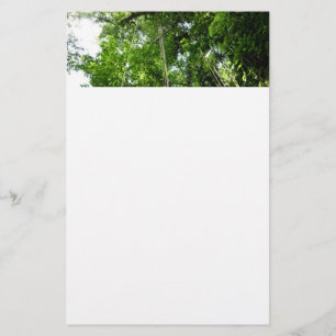Papelería Fotografía de selva tropical de jungle Ropes