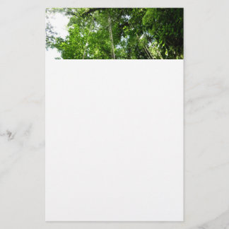 Papelería Fotografía de selva tropical de jungle Ropes
