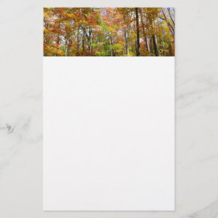 Papelería Fotografía del paisaje otoñal del bosque otoñal II