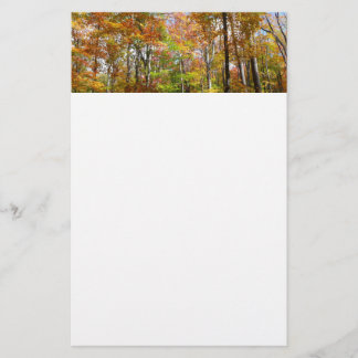 Papelería Fotografía del paisaje otoñal del bosque otoñal II