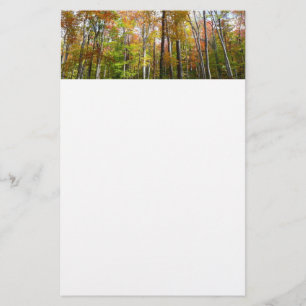 Papelería Fotografía paisajística de otoño en el bosque otoñ