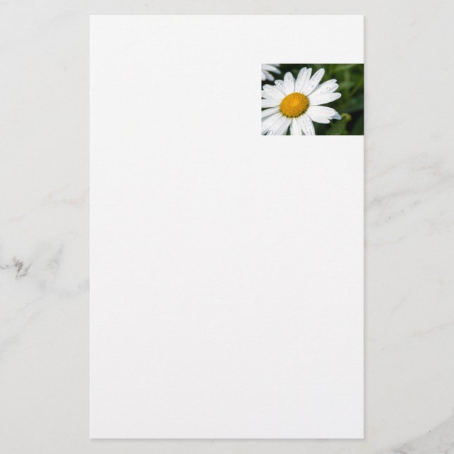 Papelería fotografía, un margueritte, hacen verde (Anverso)