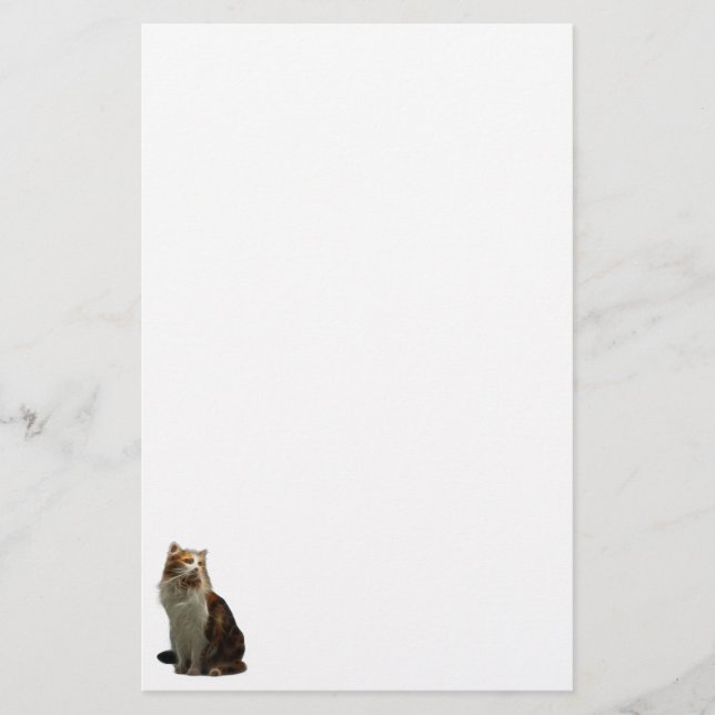 Papelería Fractal del gato de calicó (Anverso)