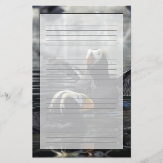 Papelería frailecillos moñudos de Alaska (Anverso)