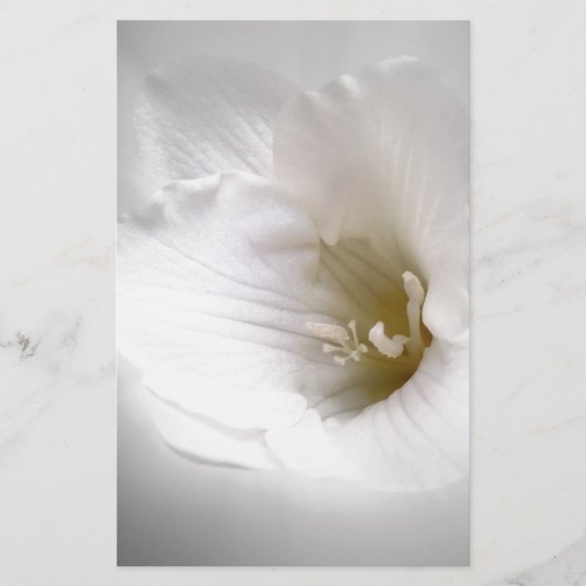 Papelería fresia blanca (Anverso)