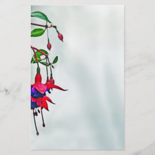 Papelería Fuchsia