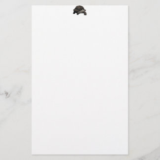 Papelería Galápagos/tortuga gigante de las Islas Galápagos