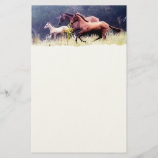 Papelería Galería fotográfica de caballos
