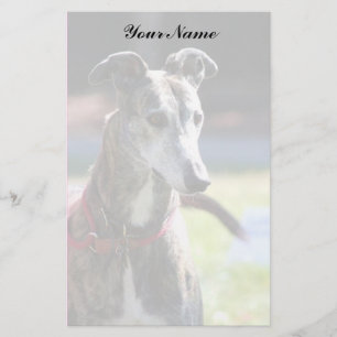 Papelería Galgo inmóvil
