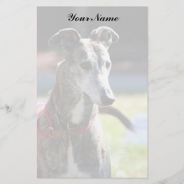 Papelería Galgo inmóvil (Anverso)