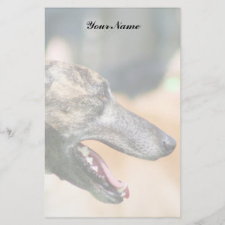 Papelería Galgo inmóvil