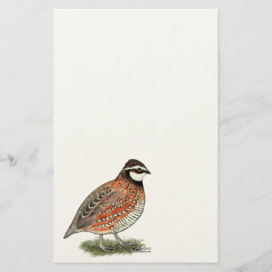 Papelería Gallo de las codornices