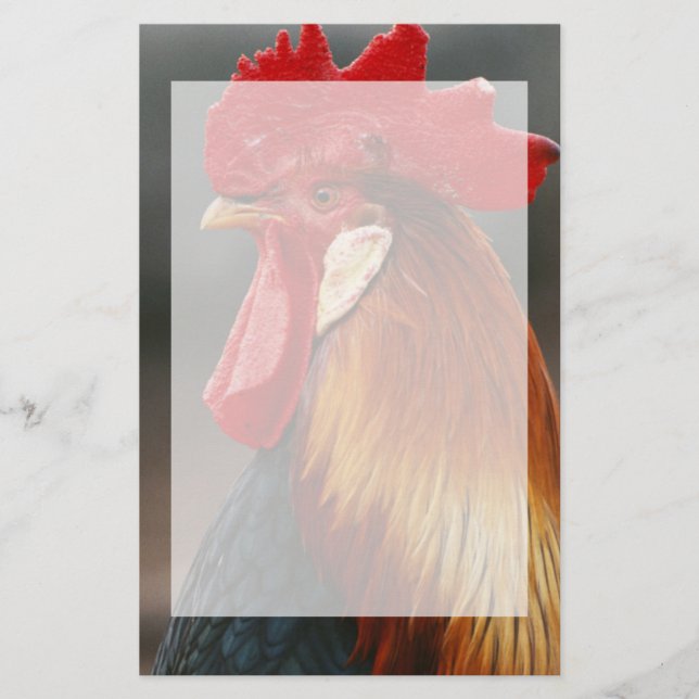 Papelería Gallo Doméstico de Corral (Anverso)
