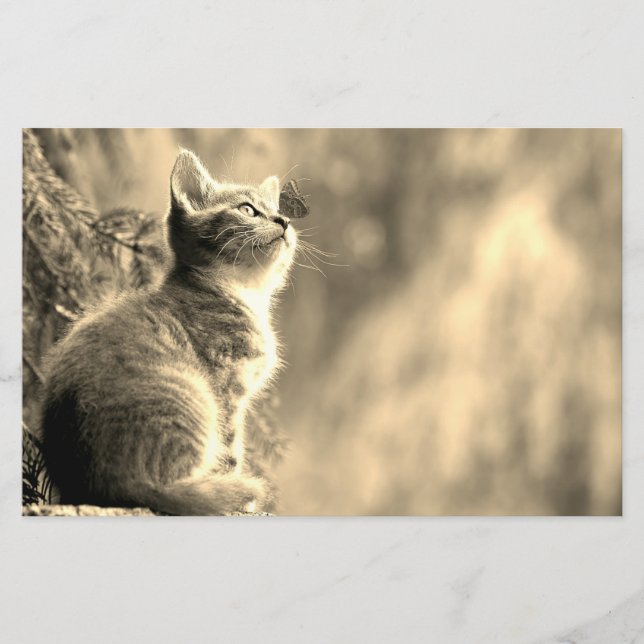 Papelería Gatito con amigo mariposa (Anverso)