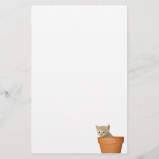 Papelería Gatito de la maceta
