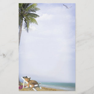 Papelería Gatito de la playa