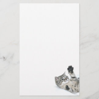 Papelería Gatito juguetón