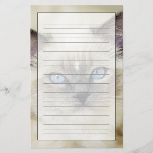 Papelería Gatito Ragdoll (Anverso)