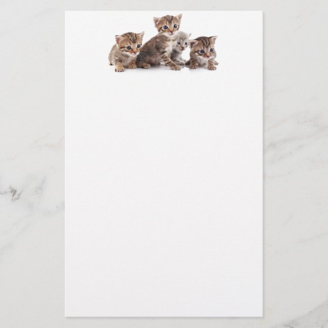 Papelería Gatitos y más gatitos (Anverso)