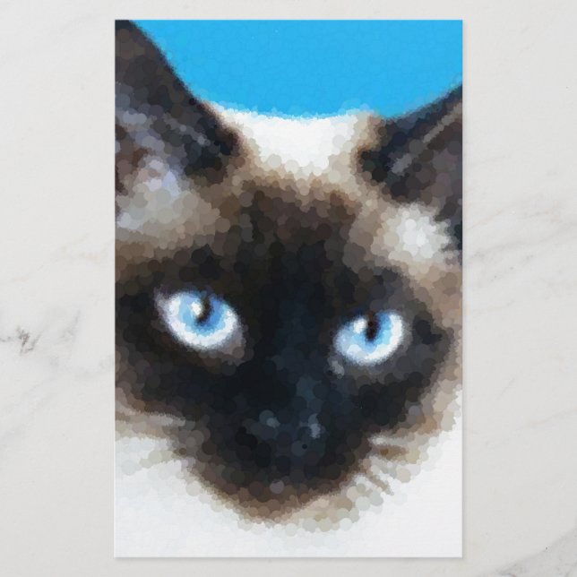 Papelería Gato 1 (Anverso)