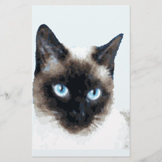 Papelería gato 11 (Anverso)